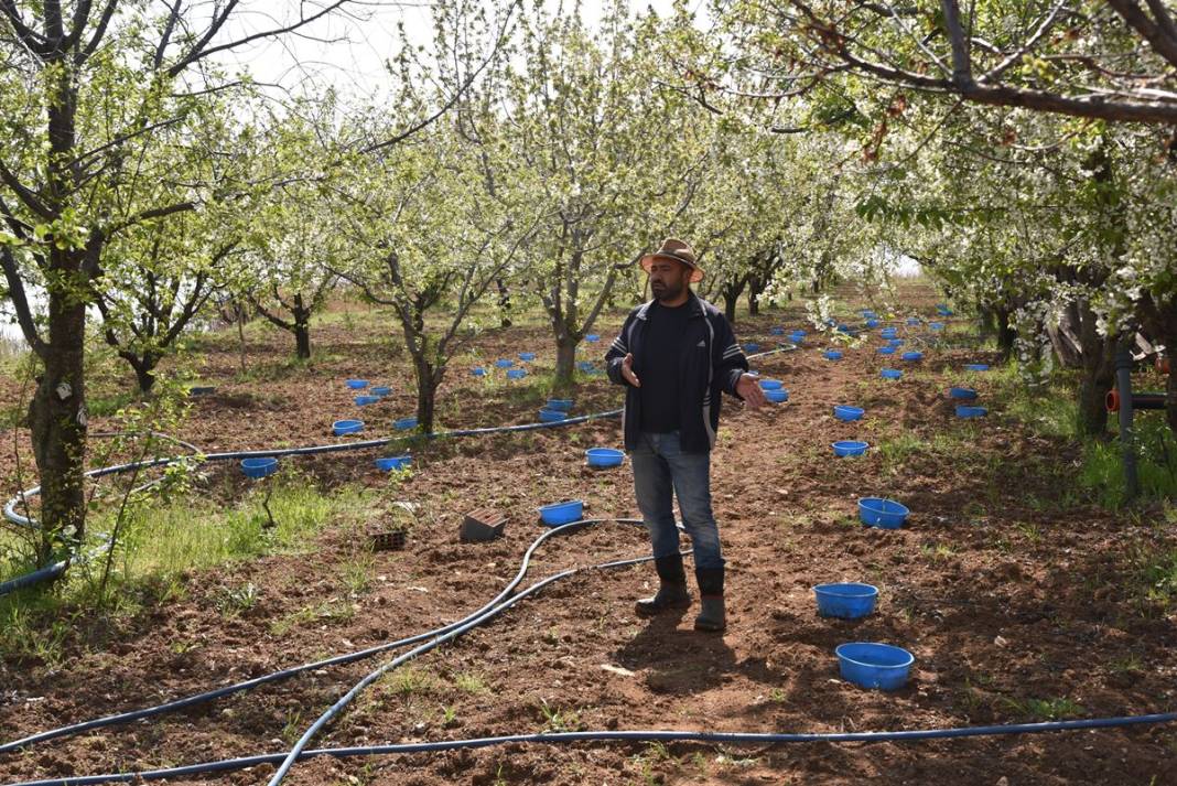 Mavi leğenleri görenler şaştı kaldı! Nedeni ortaya çıktı, 'bakla zınnı'na karşı mucize formül 9